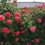 Panorama Schloessl 沃尔特湖畔韦尔登