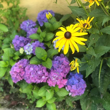 Panorama Schloessl Lejlighed