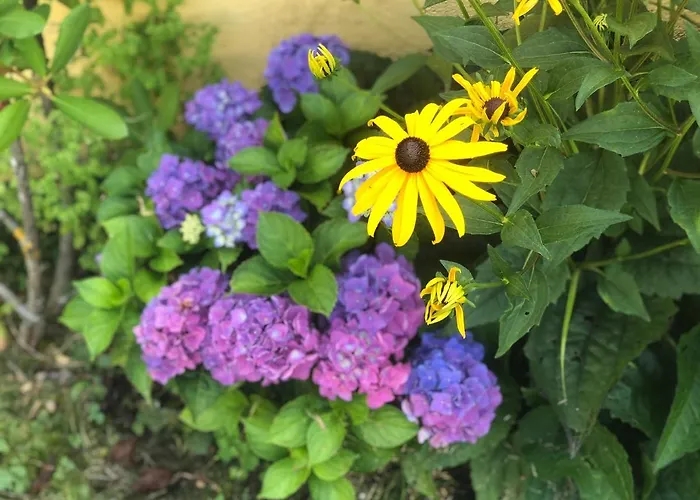 Panorama Schloessl דירה