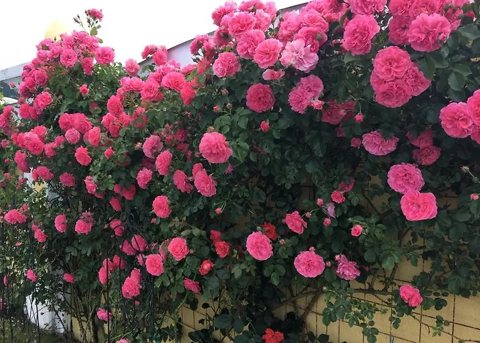 Panorama Schloessl *