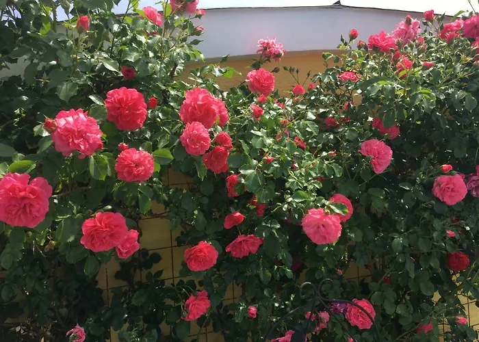 Panorama Schloessl Velden am Wörthersee